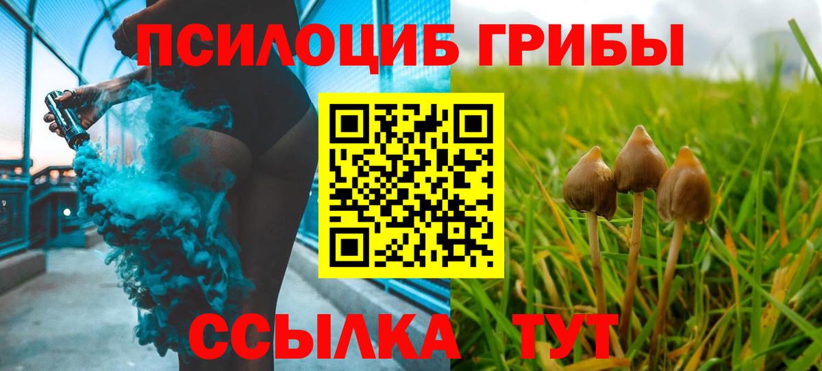 Нальчик  Псилоцибиновые грибы GOLDEN TEACHER  Вход с VPN 